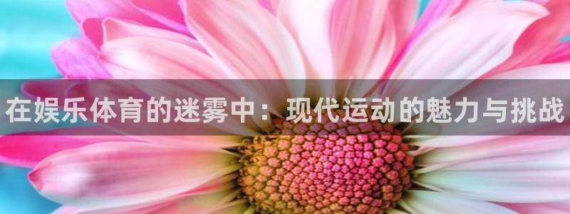 MK体育官网下载开户