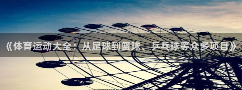 MK体育官网下载平台注册流程图：《体育运动大全：从足球到篮球