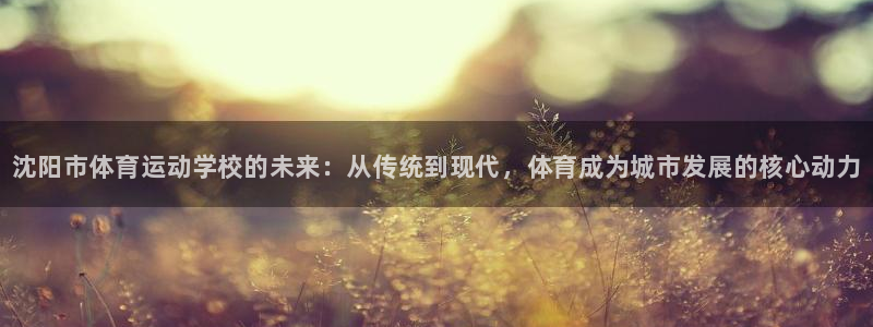 MK体育官方正版app官网：沈阳市体育运动学校的未来：从传统