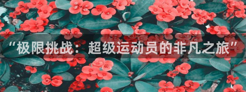 注册MK体育官方正版app：“极限挑战：超级运动员的