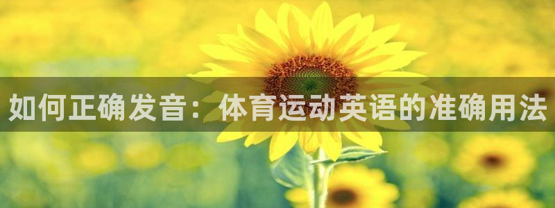 MK体育官方正版app娱乐40996：如何正确发音：体育运动