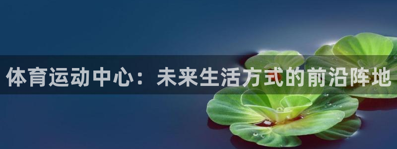 MK体育官方正版app代理：体育运动中心：未来生活方式的前沿