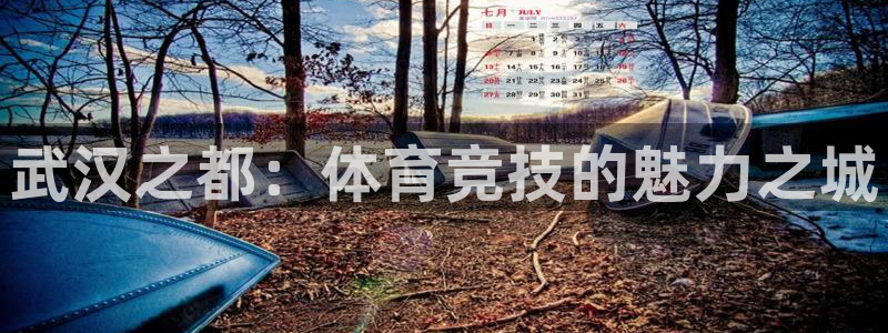 MK体育官网下载平台APP：武汉之都：体育竞技的魅力