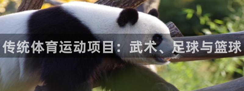 MK体育官网下载联系电话：传统体育运动项目：武术、足球与篮球