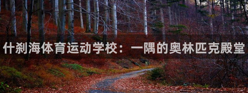 MK体育官网下载平台注册要钱吗安全吗：什刹海体育运动学校：一