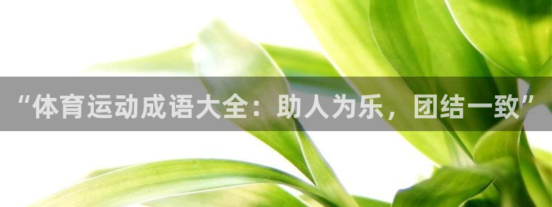 注册MK体育官方正版app：“体育运动成语大全：助人为乐，团