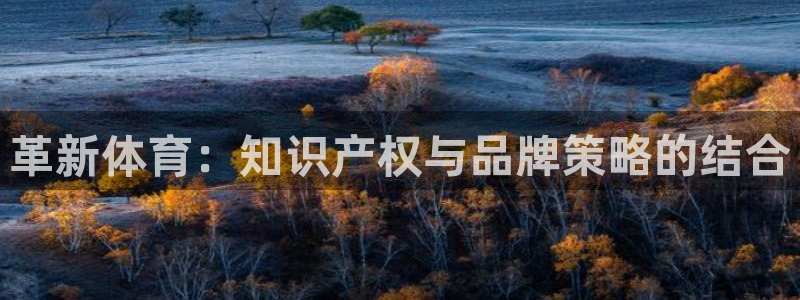 MK体育官网下载招商电话号码是多少啊：革新体育：知识