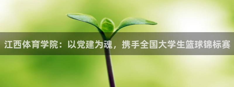 MK体育官方正版app集团logo：江西体育学院：以