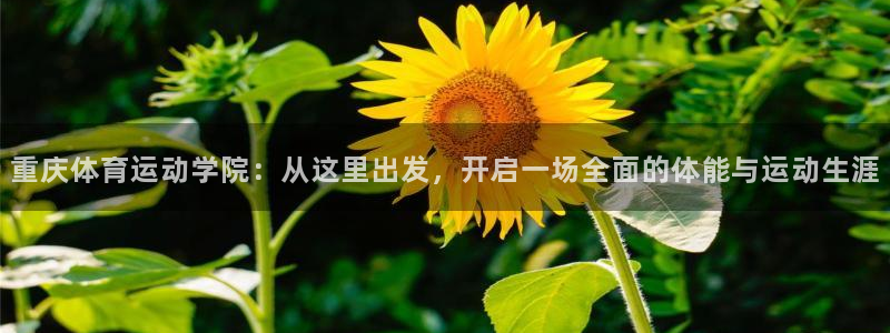 MK体育官网下载平台是正规平台吗：重庆体育运动学院：从这里出