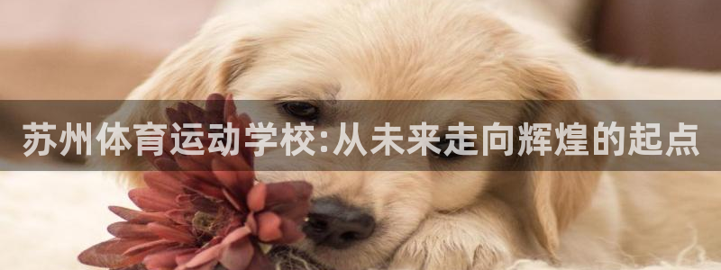 MK体育官方正版app娱乐是那个系列的台子