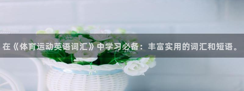 MK体育官方正版app代理