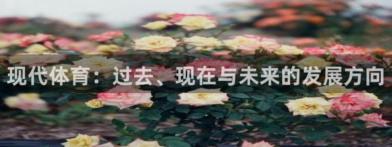 MK体育官网下载注册：现代体育：过去、现在与未来的发展方向