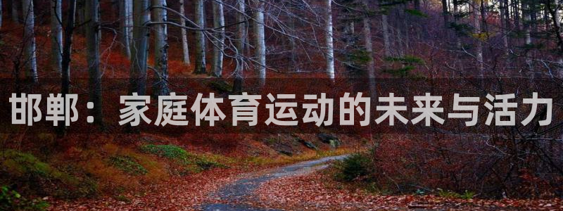 MK体育官方正版app官方：邯郸：家庭体育运动的未来与活力