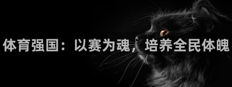 MK体育官方正版app娱乐首页官网下载：体育强国：以赛为魂，