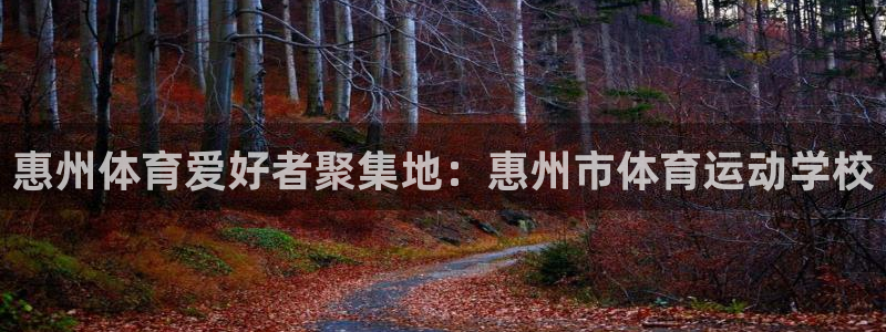 MK体育官网下载平台是正规平台吗安全吗