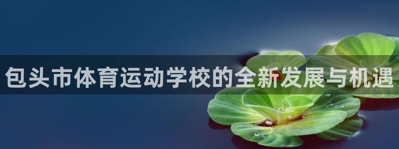 MK体育官方正版app集团E.ON：包头市体育运动学校的全新