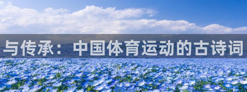 MK体育官方正版app娱乐首页网站大全