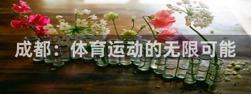 MK体育官方正版app集团官网网址：成都：体育运动的无限可能