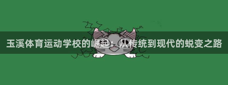 德国MK体育官方正版app集团：玉溪体育运动学校的崛起：从传