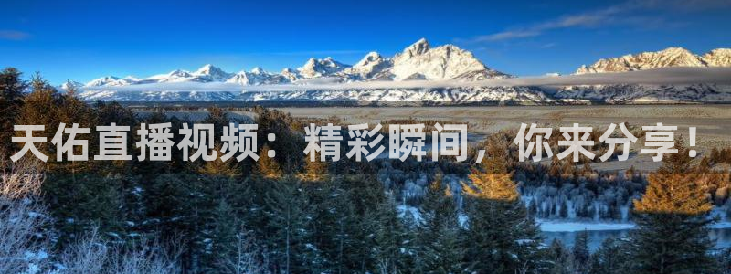 小九nba直播免费：天佑直播视频：精彩瞬间，你来分享！