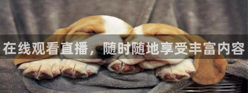 小九直播体育免费直播：在线观看直播，随时随地享受丰富内容